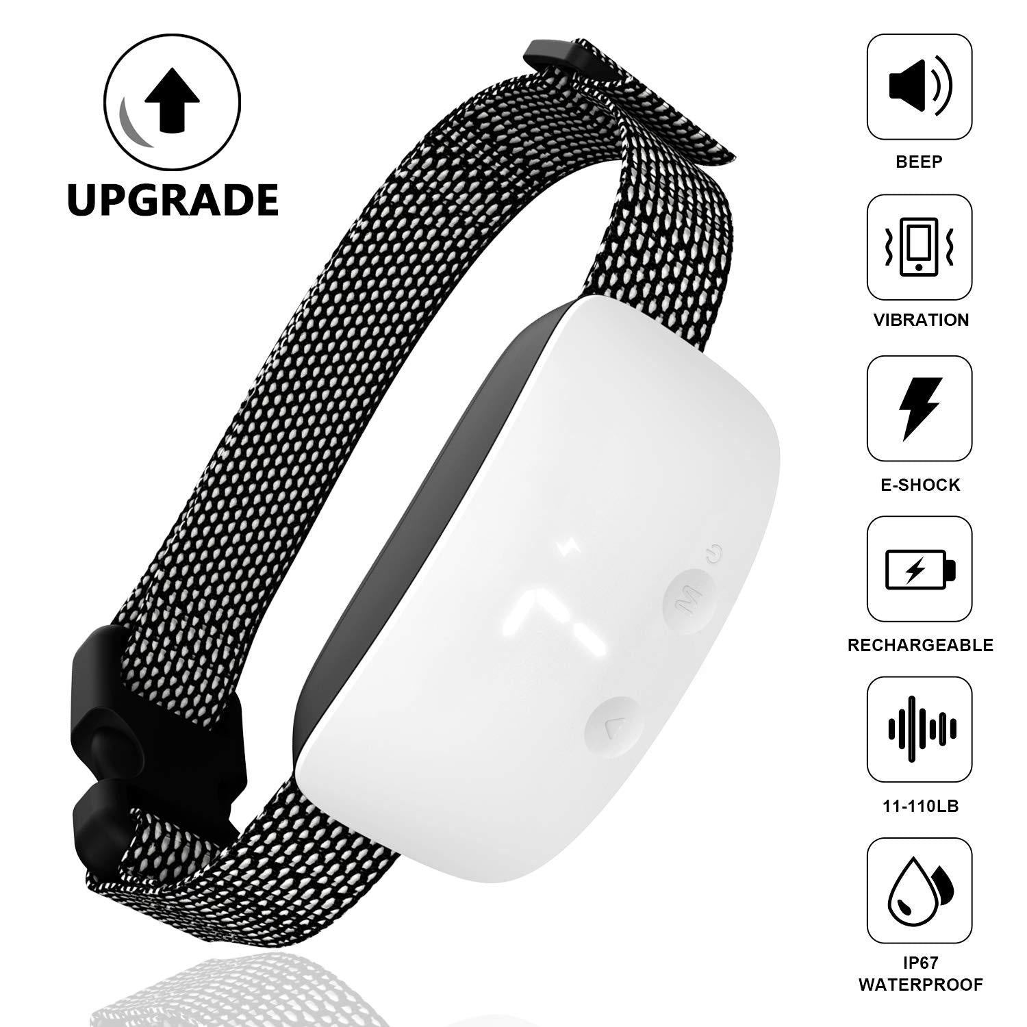 Pet training device with touch-activated sensor