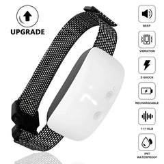 Pet training device with touch-activated sensor