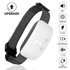 Pet training device with touch-activated sensor