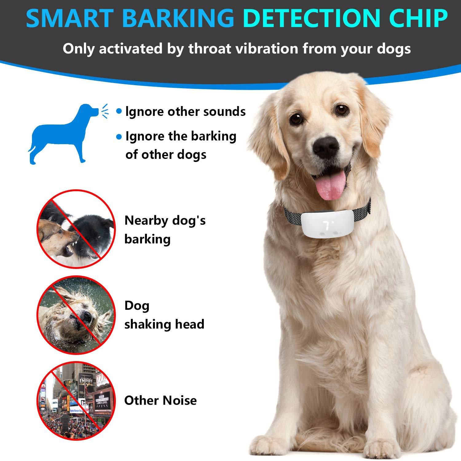 Anti barking device for everyday dog training