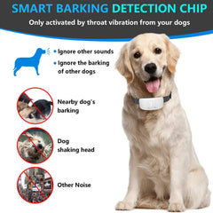 Anti barking device for everyday dog training