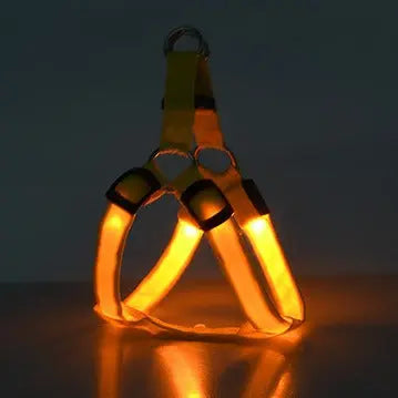 LED Luminous Dog Harness – Light-Up Chest Strap for Medium & Large Dogs eprolo