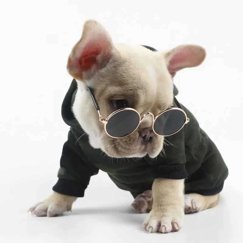 Pet cat glasses with lightweight frame