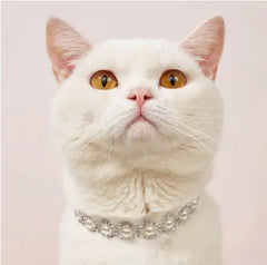 Pearl dog collar for puppies and small dogs