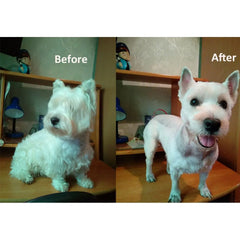 Pet Dog Hair Trimmer eprolo
