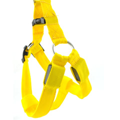 LED Luminous Dog Harness – Light-Up Chest Strap for Medium & Large Dogs eprolo