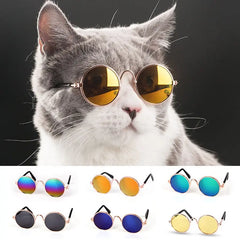 Cat wearing lightweight sunglasses pet eyewear