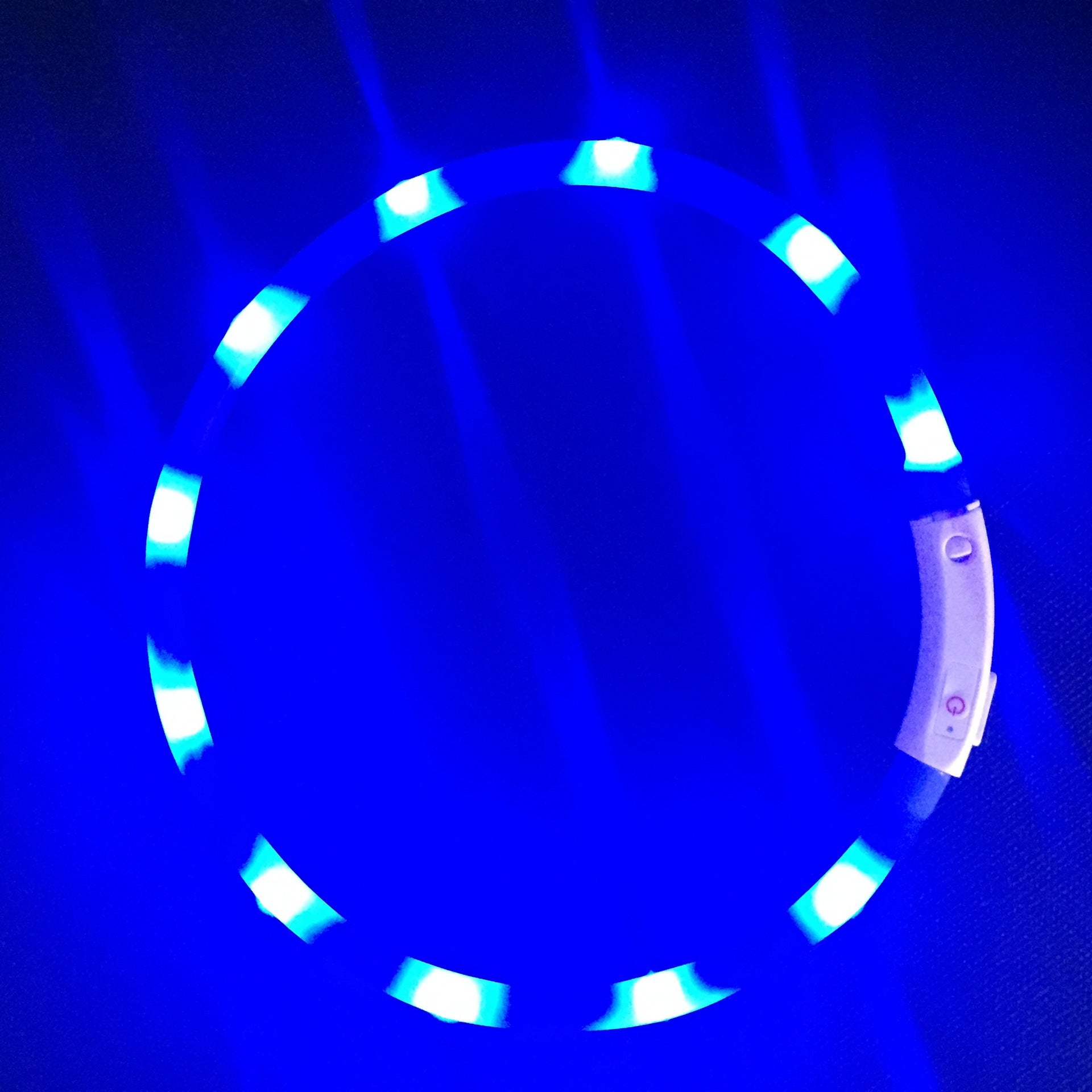 USB Rechargeable LED Light-Up Dog Collar – Adjustable Silicone Safety Collar eprolo