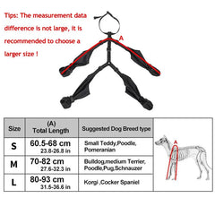 Adjustable dog boots with non slip soles for everyday walks