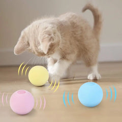 Smart interactive cat ball with catnip for playful cats and kittens