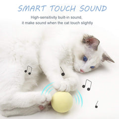Interactive cat toy for exercise and stimulation