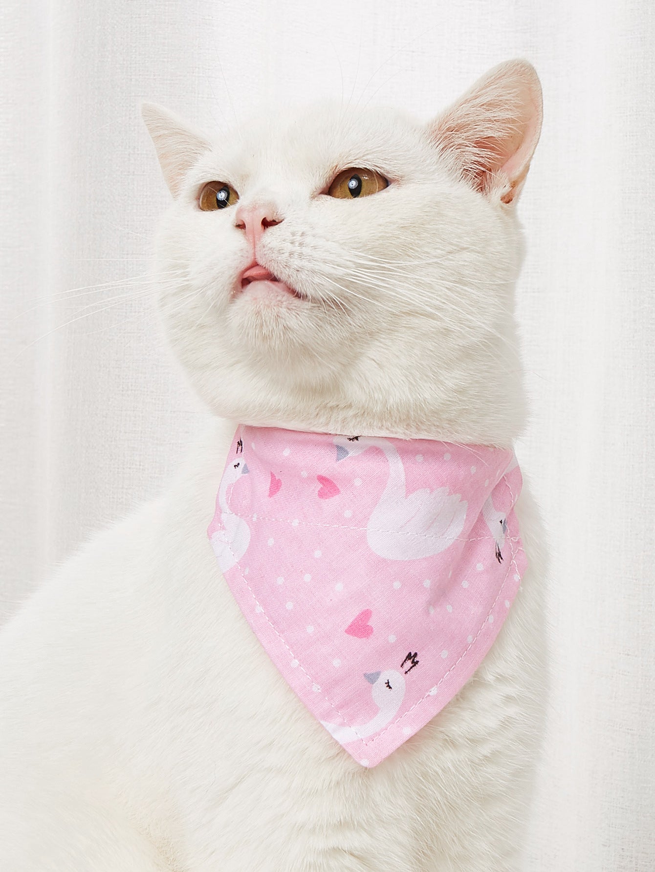Cartoon Pet Bandana Collar – Cotton Triangle Towel for Cats & Dogs eprolo