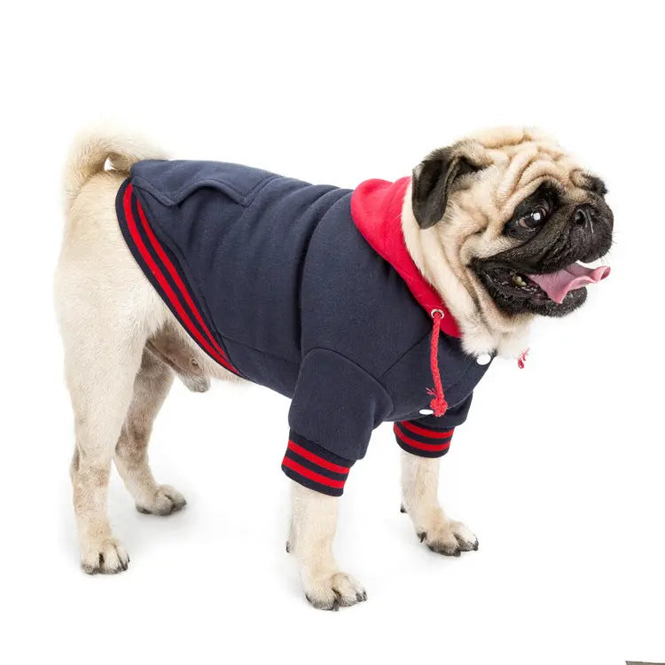 Color Block Cotton Dog Sweater – Cozy Casual Knitwear for Pets eprolo