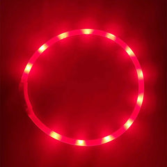 USB Rechargeable LED Light-Up Dog Collar – Adjustable Silicone Safety Collar eprolo
