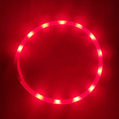 USB Rechargeable LED Light-Up Dog Collar – Adjustable Silicone Safety Collar eprolo