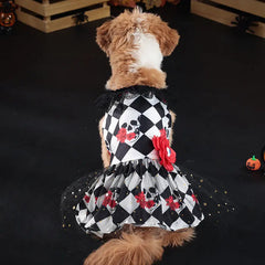pet Halloween dress cute dog Halloween costume