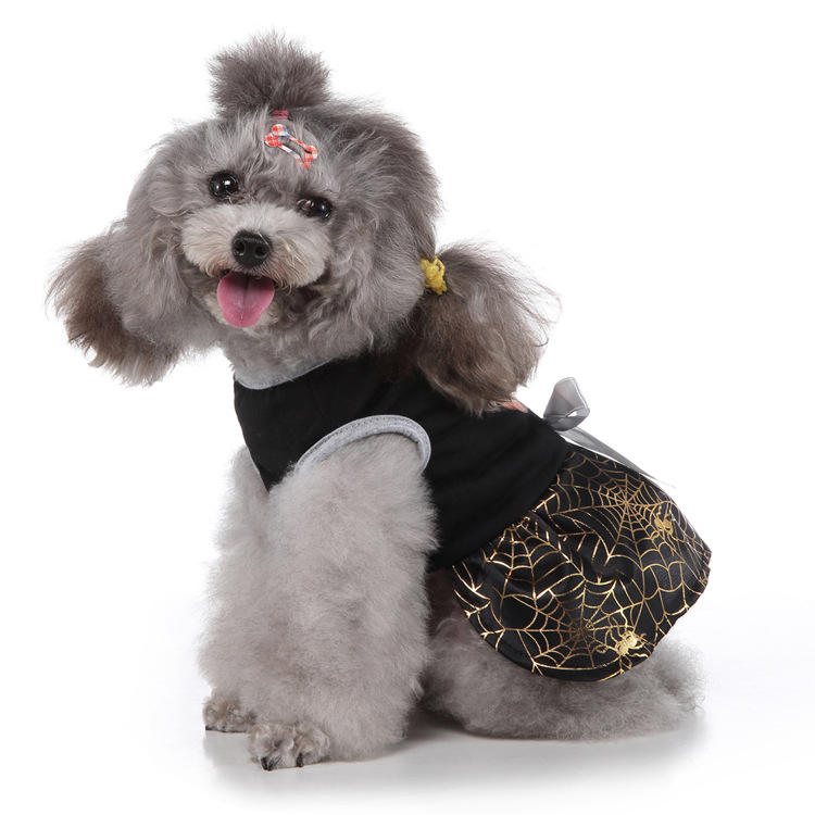 Wizard dog skirt Halloween costume outfit