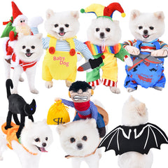 Halloween pet clothes
