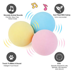 Catnip squeaky training ball for cats and kittens