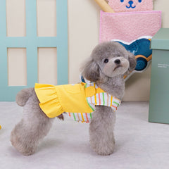 Striped Patchwork Pet Skirt – Cute Dress for Cats & Small Dogs eprolo