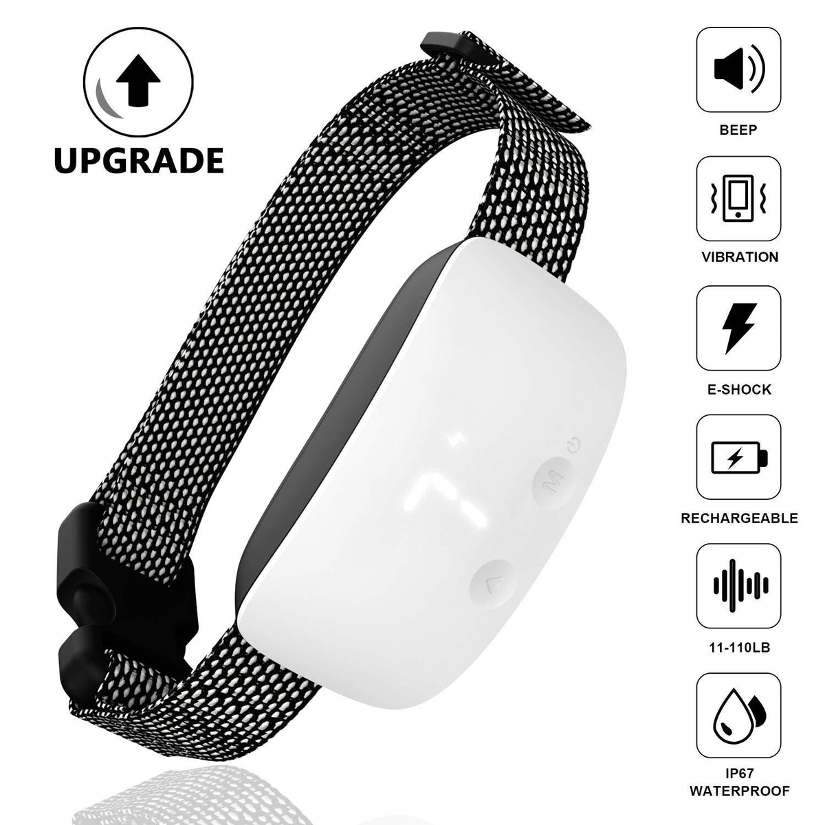 Pet training device with touch-activated sensor