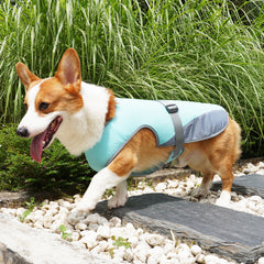 Summer cooling vest for dogs for walks and play