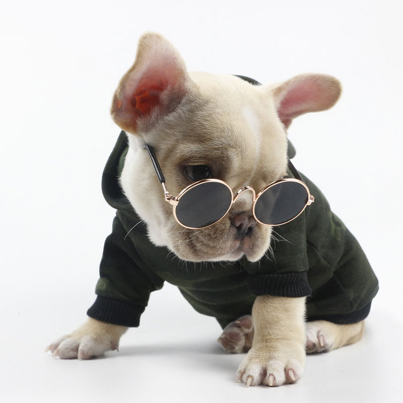 Pet cat glasses with lightweight frame