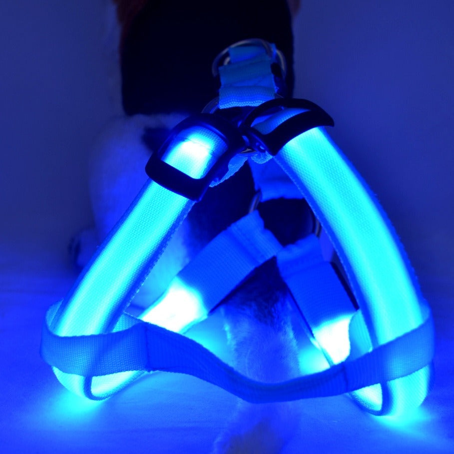 LED Luminous Dog Harness – Light-Up Chest Strap for Medium & Large Dogs eprolo