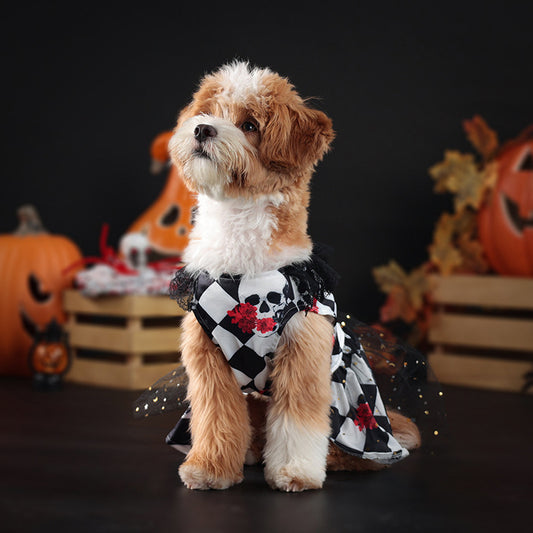 Halloween dog dress Magic Eye of the Metropolis costume
