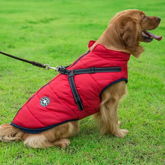 Thickened Waterproof Dog Jacket – Warm Outdoor Coat for Large Dogs eprolo