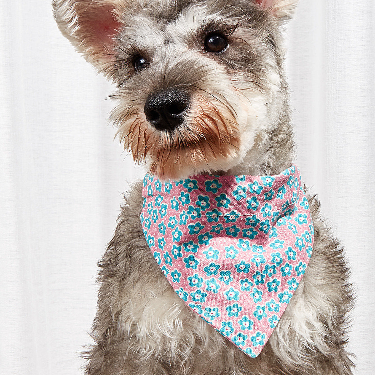 Cartoon Pet Bandana Collar – Cotton Triangle Towel for Cats & Dogs eprolo