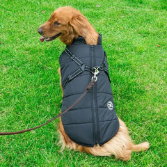 Thickened Waterproof Dog Jacket – Warm Outdoor Coat for Large Dogs eprolo