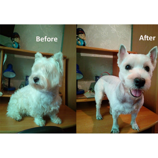 Pet Dog Hair Trimmer eprolo
