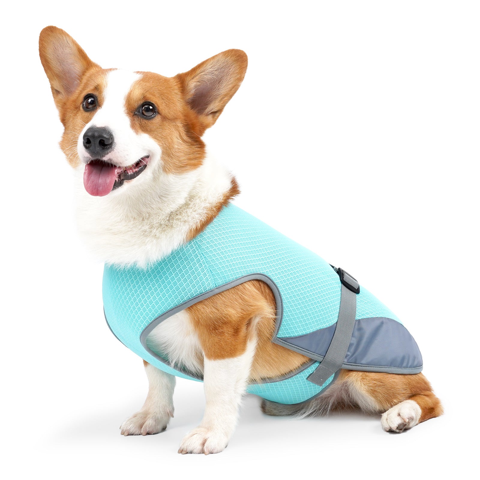 Cooling dog clothing for warm weather adventures