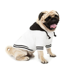 Color Block Cotton Dog Sweater – Cozy Casual Knitwear for Pets eprolo