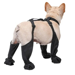 Dog rain and snow boots for small medium and large dogs