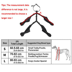 Adjustable dog boots with non slip soles for everyday walks