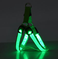 LED Luminous Dog Harness – Light-Up Chest Strap for Medium & Large Dogs eprolo