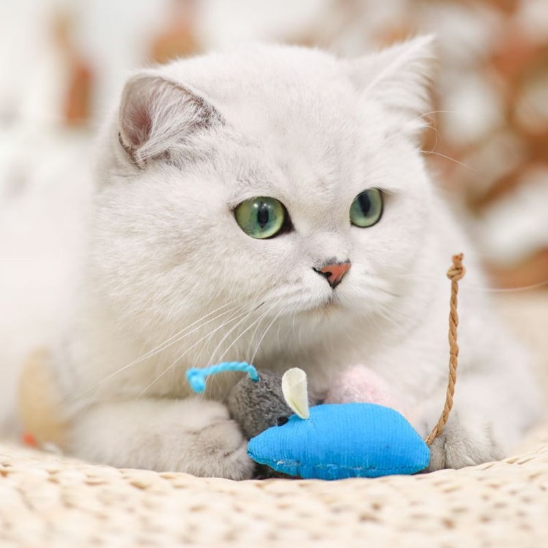 Cat toys, simulated plush mice, relieve boredom, interact with each other, and provide pet products eprolo