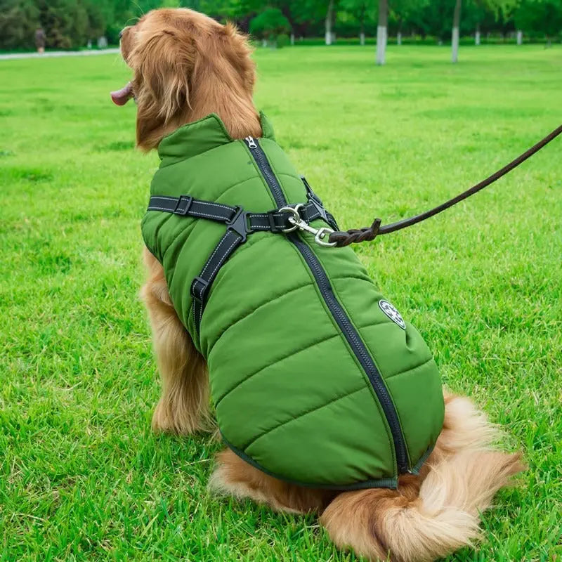 Warm outdoor jacket for large dogs