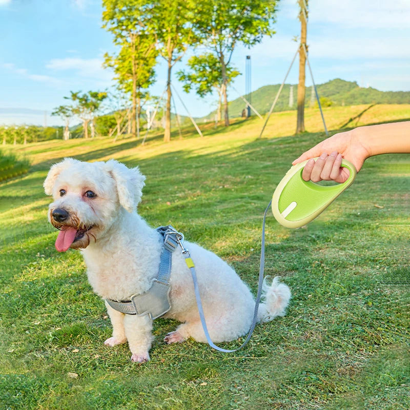 3M Retractable Pet Leash – Nylon Walking Lead for Small Dogs & Cats eprolo