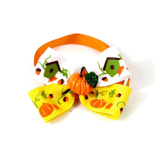 Festive pet pumpkin accessory for Halloween celebrations