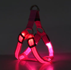 LED Luminous Dog Harness – Light-Up Chest Strap for Medium & Large Dogs eprolo