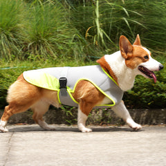 Cooling vest for dogs for summer hot weather