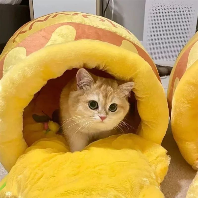 Enclosed cat cave bed for indoor pets