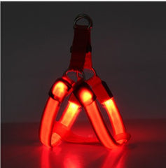 LED Luminous Dog Harness – Light-Up Chest Strap for Medium & Large Dogs eprolo