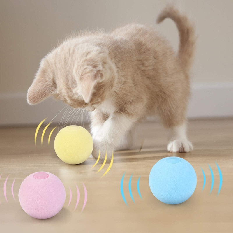 Smart interactive cat ball with catnip for playful cats and kittens