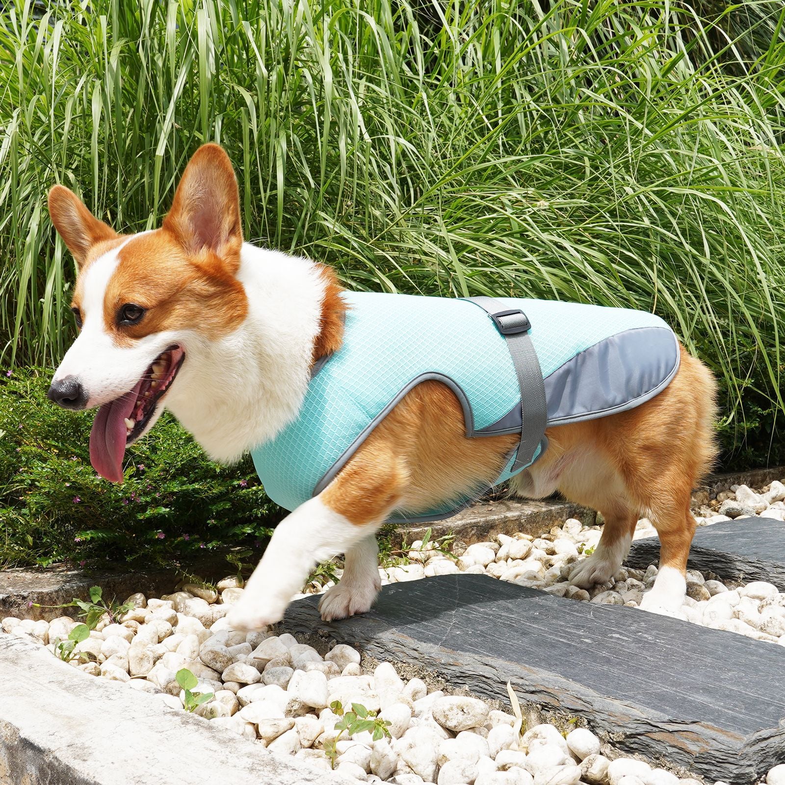 Dog summer vest for outdoor cooling support