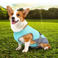 Dog cooling vest for hot weather outdoor activities