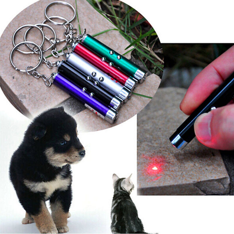 Compact laser pointer for cats and kittens